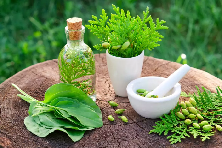 Herbal Supplement